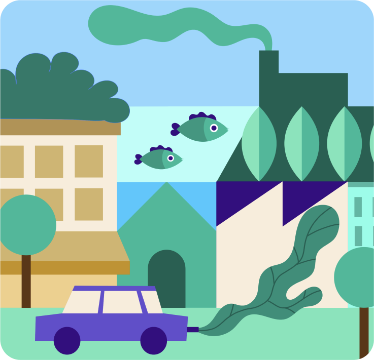 Nature & The Environment